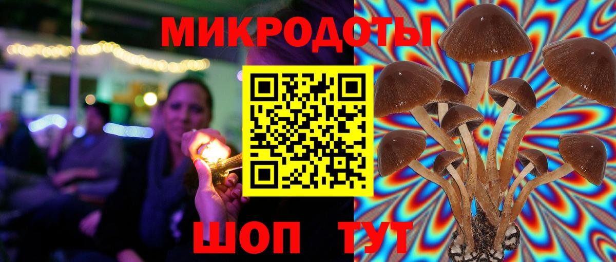 Галлюциногенные грибы Psilocybine cubensis Унеча