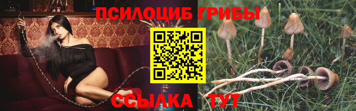 Унеча  Псилоцибиновые грибы GOLDEN TEACHER  Вход с VPN 